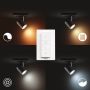 SPOTLIGHTS PHILIPS HUE RUNNER ENKEL SVART