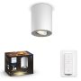 TAKSPOTLIGHT PHILIPS HUE PILLAR SINGEL HVIT