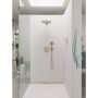 DUSJHODE HANSGROHE RAINDANCE SELECT E 120 3JET GULL 