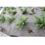 FIBERDUK PLANTEX WEEDMAX 2X3 M