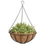 AMPEL ESSCHERT RUNDT 35,9 x 80CM