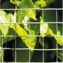 GNAGERSTOPP HORTUS MUS & ROTTER 6X6 MM, 0,6X5 M