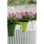 BALKONGKASSE CORSICA FLOWER BRIDGE 30CM MINT