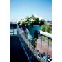 BALKONGKASSE CORSICA FLOWER BRIDGE 30CM MINT