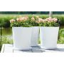 BLOMSTERSKÅL ELHO UNI-SOUCER ROUND 42CM TRANSPARENT