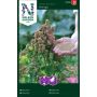GRØNNSAKSFRØ NELSON GARDEN QUINOA VIKINGA 