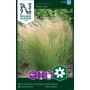 BLOMSTERFRØ NELSON GARDEN PRYDGRESS SVANEFJÆR PONY TAILS 
