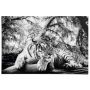 PLAKAT REINDERS SVART HVIT TIGER 61x91,5CM 010