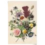 PLAKAT REINDERS BUKETT 61x91,5CM 035