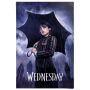 PLAKAT REINDERS 61X91,5CM WEDNESDAY  038