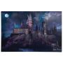 PLAKAT REINDERS HARRY POTTER SLOTTET 61x91,5CM 078