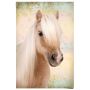 PLAKAT REINDERS 120 61 X 91 CM