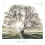 INNREDNINGSBILDE REINDERS SUNBEAM TREE SLIM FRAME WOOD 50X50CM