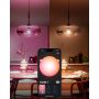 KRONEPÆRER PHILIPS HUE HUE ESSENTIAL E27 8W